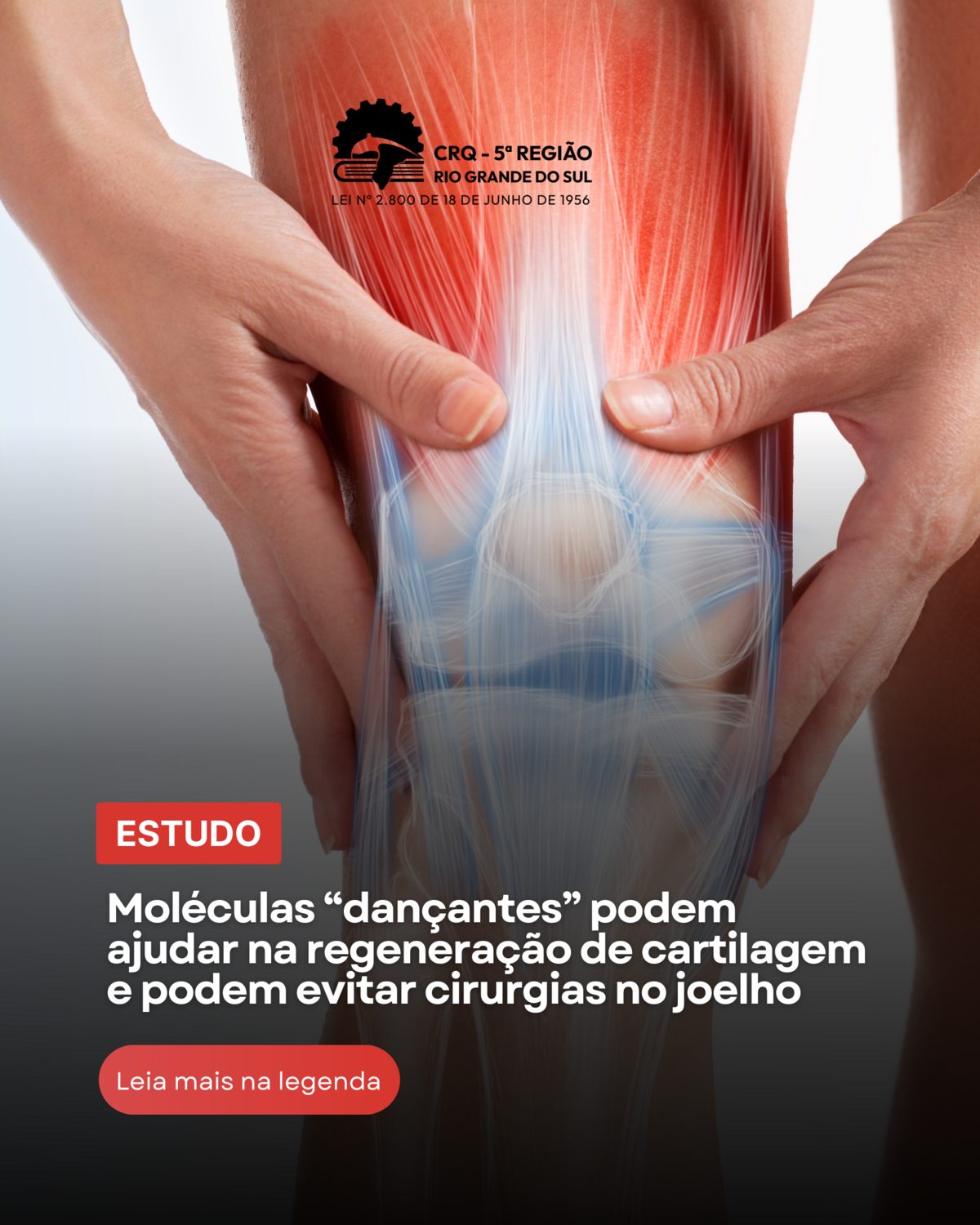 moleculas-dancantes-podem-ajudar-na-regeneracao-de-cartilagem-e-podem-evitar-cirurgias-no-joelho