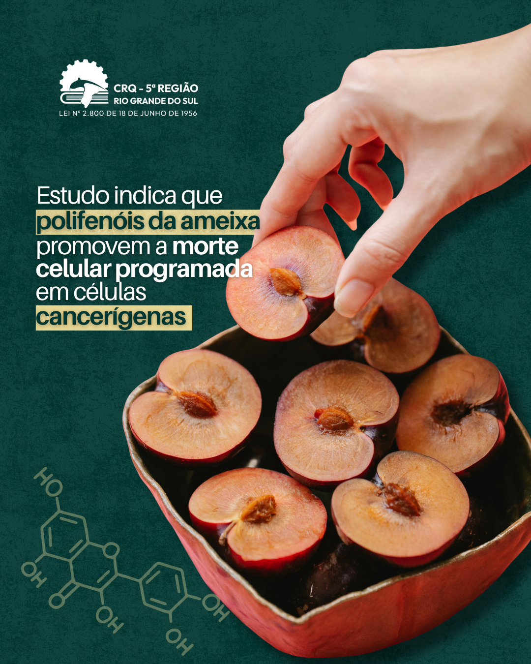 estudo-indica-que-polifenois-da-ameixa-promovem-morte-celular-programada-em-celulas-cancerigenas