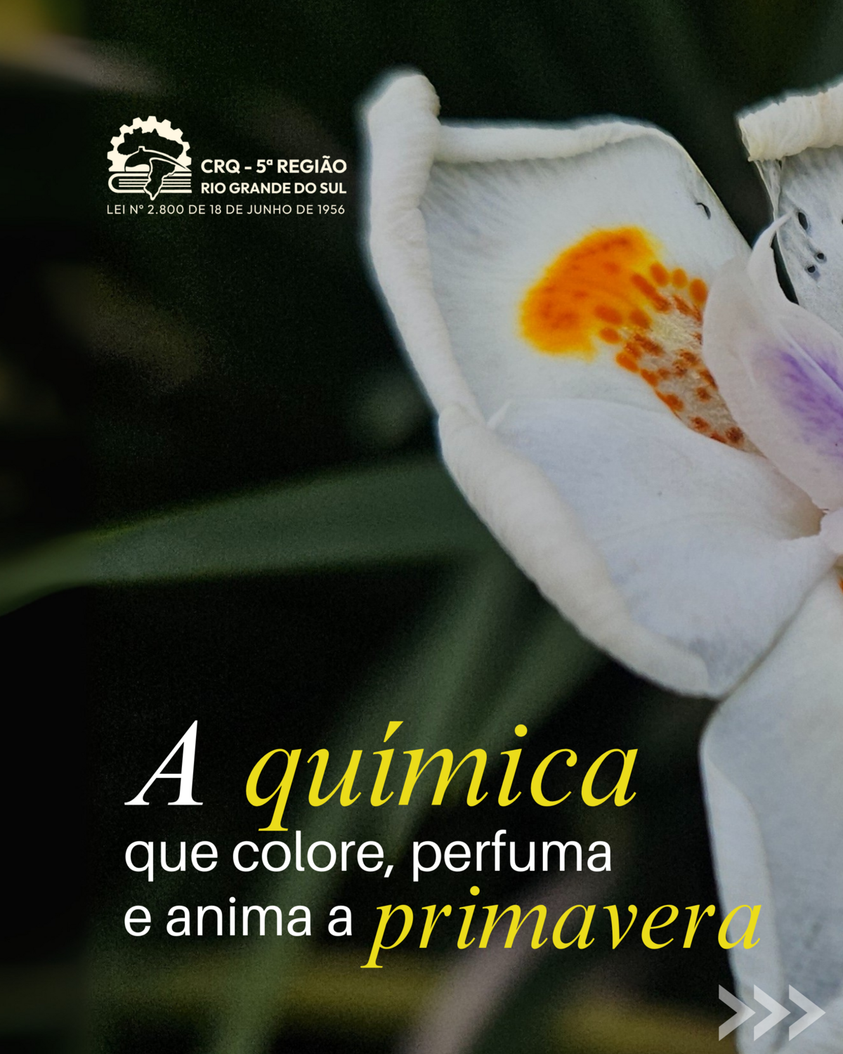 a-quimica-que-colore-perfuma-e-anima-a-primavera
