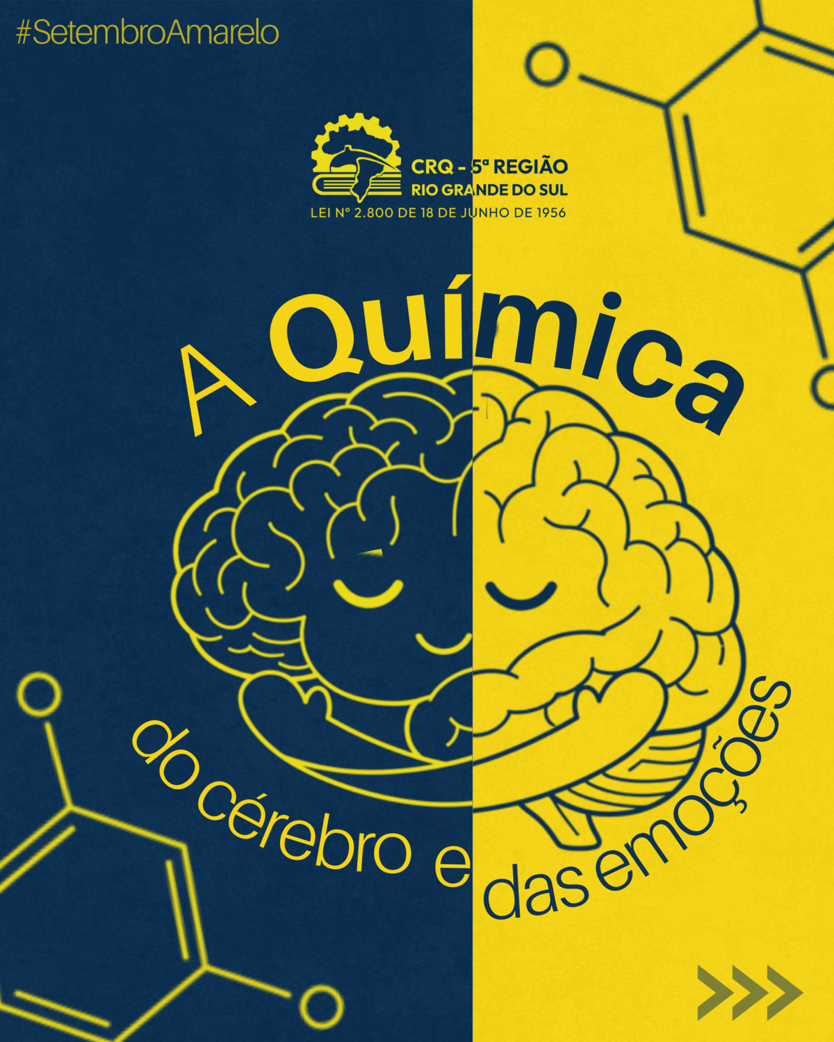 a-quimica-do-cerebro-e-das-emocoes