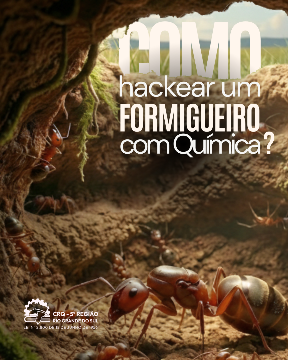 como-hackear-um-formigueiro-com-quimica
