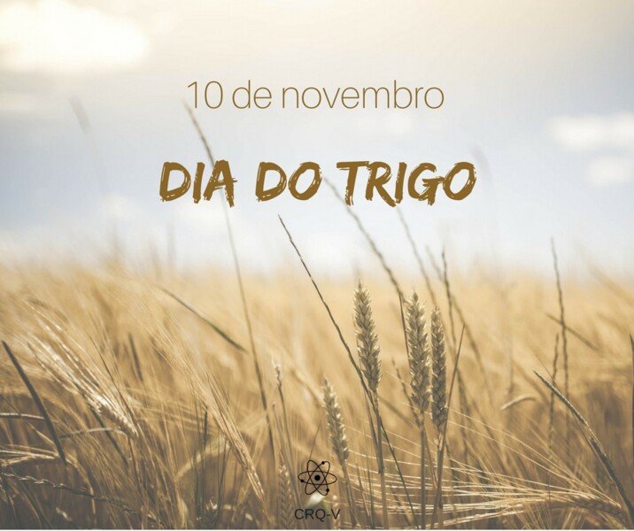 a-ciencia-do-trigo