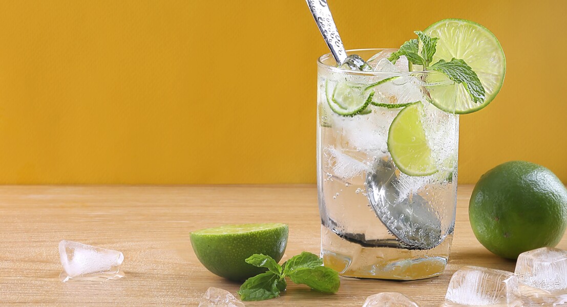 limao-a-composicao-da-fruta-e-cuidados-necessarios-durante-o-verao