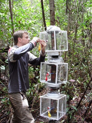 amazonia-e-uma-das-principais-fontes-emissoras-de-metano-do-mundo