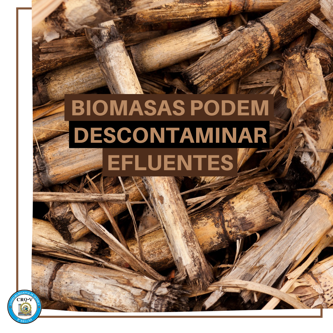 biomassa-pode-descontaminar-aguas-e-efluentes